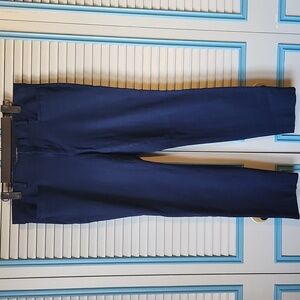 Banana Republic Navy Blue Sloan Pants